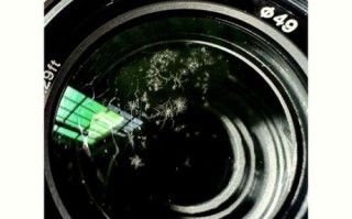 镜头为什么会发霉_如何预防镜头长霉