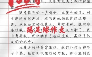 多人多足作文怎么写_多人多足比赛细节描写技巧