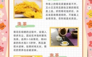 菊花孕妇能泡水喝吗_孕妇喝菊花茶禁忌
