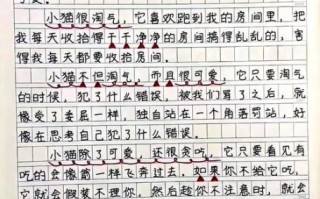 我家的猫作文怎么写_写猫作文的万能开头