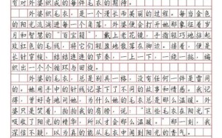 中考作文怎么写_中考满分作文范文