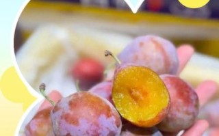 孕妇能吃梅子吗_孕妇吃梅子对胎儿好吗