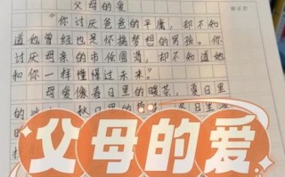 父母情作文怎么写_父母的爱有哪些细节