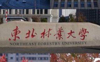 东北林业大学全国排名_报考价值