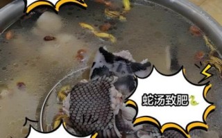 孕妇能不能吃蛇汤_孕妇喝蛇汤对胎儿有影响吗