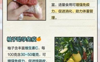 孕妇可以吃柚子吗_孕期吃柚子注意事项