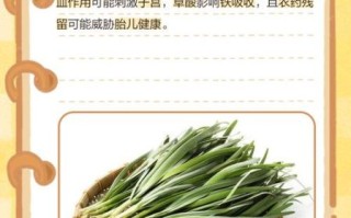 韭菜孕妇可以吃吗_韭菜对胎儿的影响