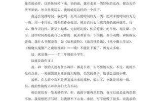 这就是我作文怎么写_这就是我500字作文技巧