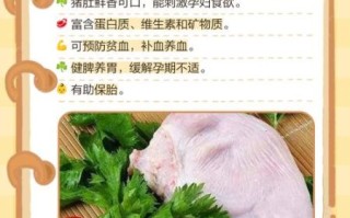 孕妇吃猪肚有什么好处_孕妇吃猪肚对胎儿好吗