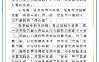 五年级上册第一单元作文怎么写_我的心爱之物写作技巧