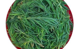 黄西菜孕妇可以吃吗_孕期吃黄西菜注意事项