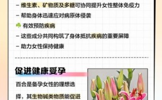 百合孕妇可以吃吗_孕妇吃百合对胎儿有影响吗