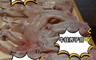 孕妇可以吃青蛙吗_孕期吃青蛙安全吗