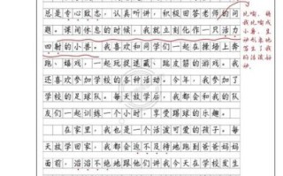 三年级作文我的特点怎么写_三年级作文我的特点有哪些