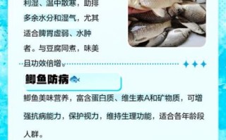 孕妇可以吃鲫鱼吗_鲫鱼对胎儿有什么好处