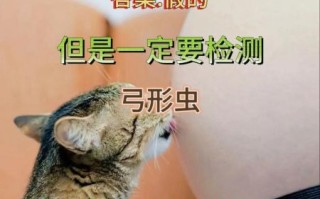 孕妇弓形虫检查方法_孕期感染筛查流程