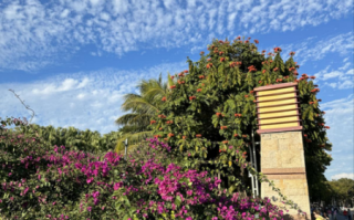 218镜头适合拍什么_218镜头画质怎么样