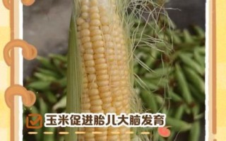 孕妇可以吃包谷吗_包谷对胎儿的好处