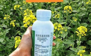 孕妇吃了刚喷农药的菜怎么办_对胎儿有影响吗