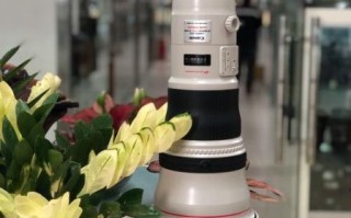 佳能打鸟镜头推荐_哪款长焦最适合拍鸟