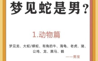 孕妇梦见青蛇生男生女_胎梦解析与民间说法