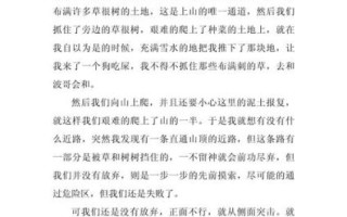 爬山作文400字怎么写_如何写爬山作文400字