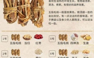 孕妇可以喝五指毛桃汤吗_孕期喝五指毛桃汤注意事项