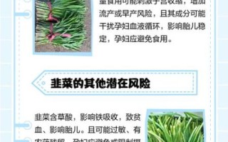 孕妇可以吃韭菜吗_韭菜对孕妇的利弊