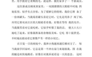 写物的作文600字怎么写_写物作文600字范文