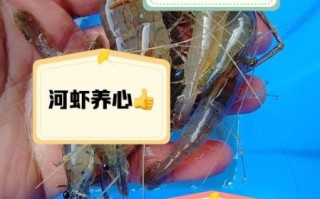 孕妇可以吃河虾吗_河虾对孕妇的好处与禁忌