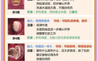 孕妇36周注意事项_36周胎儿发育情况