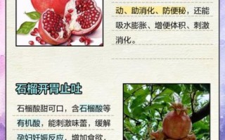 孕妇吃石榴对胎儿好吗_孕妇吃石榴的好处和坏处