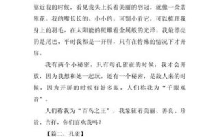 孔雀怎么写作文_孔雀作文500字怎么写