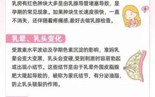 孕妇乳房胀痛怎么办_孕期乳房护理方法
