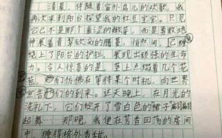 四年级上册四单元作文怎么写_如何写观察日记