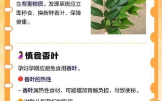 孕妇能吃香叶吗_香叶对孕妇安全吗