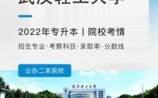 武汉轻工大学全国排名多少_武汉轻工大学怎么样