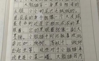 我喜欢的小动物有哪些_小学生300字作文怎么写
