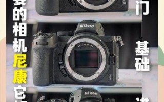 单反镜头通用吗_佳能尼康镜头能互换吗