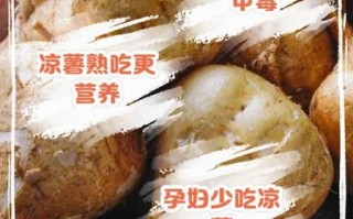 孕妇可以吃凉薯吗_凉薯对胎儿有影响吗