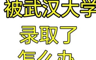 武汉大学招生网怎么用_2024录取规则是什么