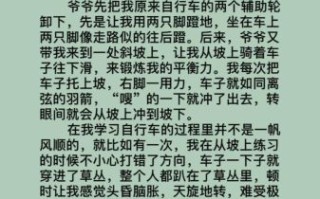 小学生400字作文怎么写_如何提高写作水平