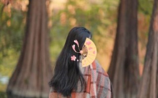 佳能85mm定焦镜头怎么样_适合拍什么题材