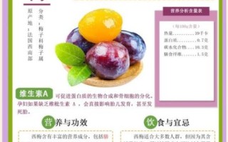 孕妇可以吃西梅吗_西梅对胎儿的好处