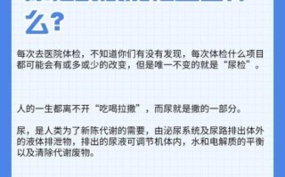 孕妇尿检什么时候做_孕妇尿检能查出什么