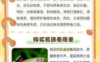 孕妇可以吃金丝鱼吗_金丝鱼孕期营养安全指南