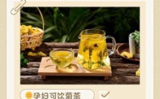 孕妇可以喝菊花枸杞吗_孕期菊花枸杞茶禁忌