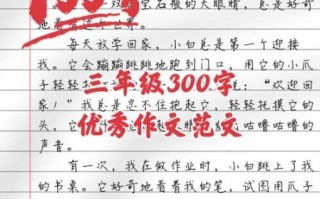作文300字怎么写_如何提高写作效率