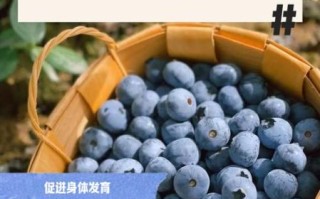 孕妇吃蓝莓对胎儿有什么好处_蓝莓对胎儿发育有哪些好处