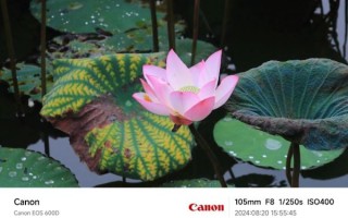 佳能75-300镜头怎么样_适合拍什么题材